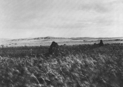 Russischer Photograph um 1900 - Kirgisische Landschaft (Zeno Fotografie)