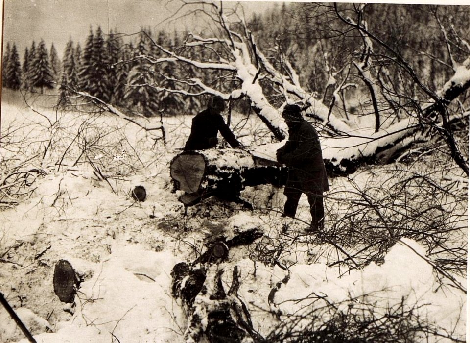 Russiscne Gefangene beim Holzfällen im Gailthale (BildID 15496794)