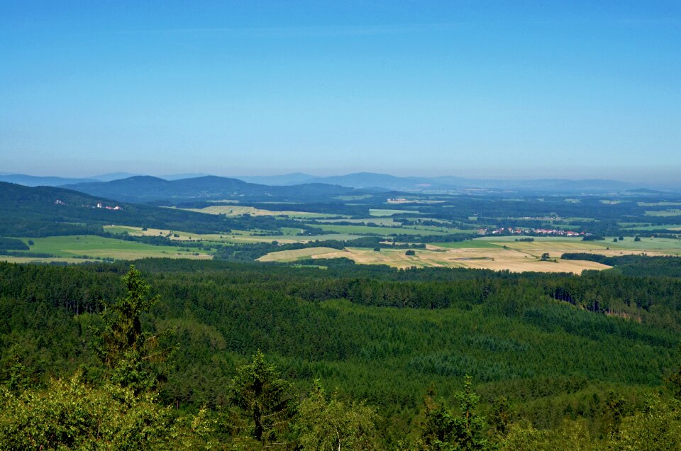 Nature panorama view