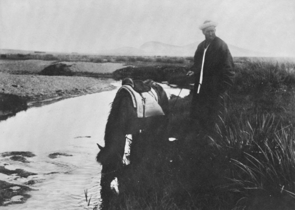 Russischer Photograph um 1900 - Kirgisen (2) (Zeno Fotografie)