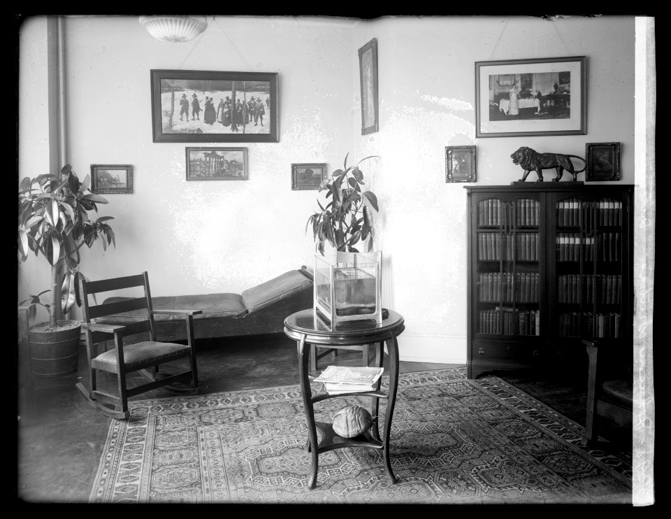 S.B.) Johnston, Dentist; interior LCCN2016851328