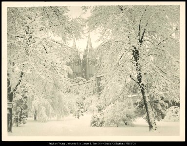 S.L. Temple in winter photo