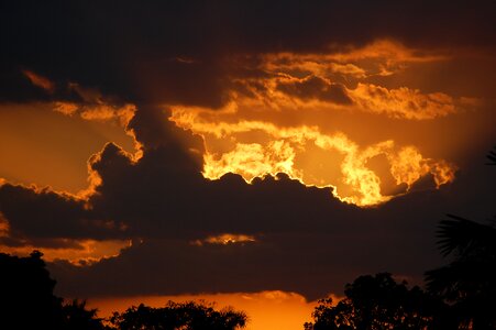 Outdoor orange nature photo