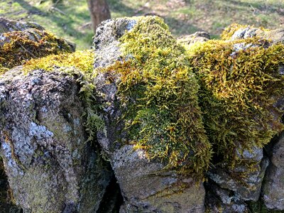 Walls stones outdoors