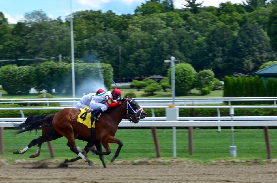 Playground horse race