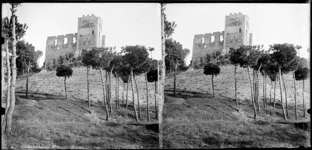 Ruïnes del castell de la Roca del Vallès amb uns arbres en primer terme