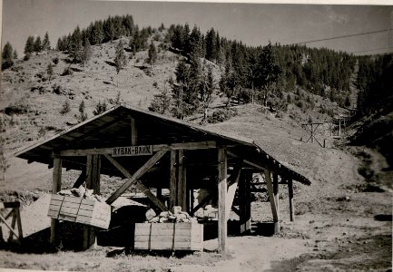 Rybak, Drahtseilbahn bei Kirlibaba (BildID 15719511)