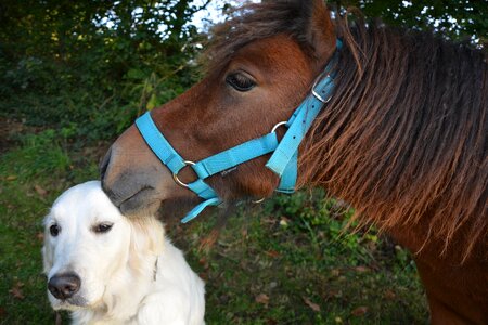 Tenderness complicity tenderness affection