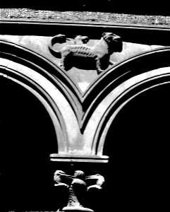 S03 06 01 001 image 460
