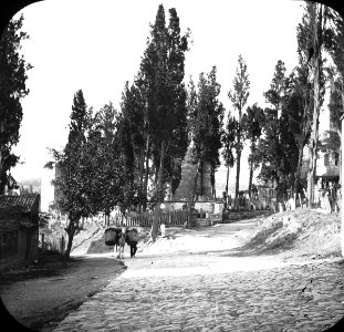 S03 06 01 003 image 1779