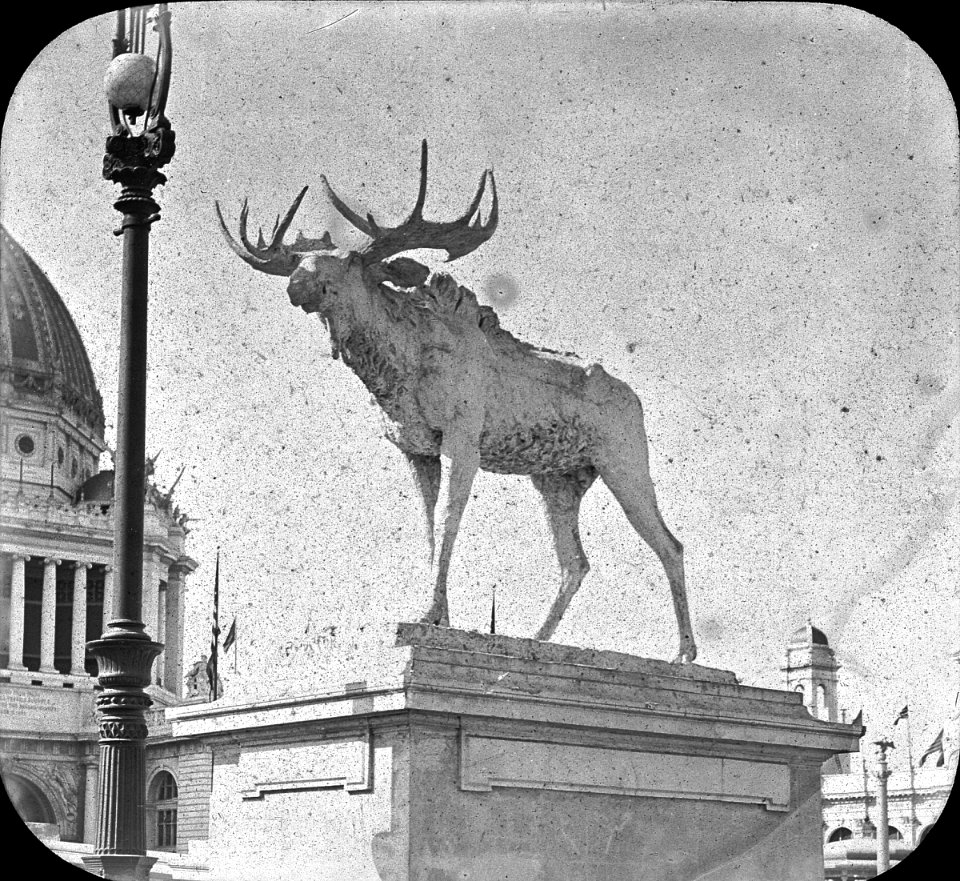 S03 06 01 016 image 2182