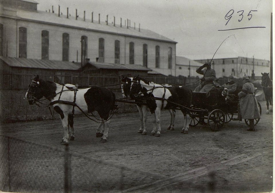 S.Exz.d.Oberbefehlshaber u.Generalstb.Chef im Viererzug, Schodorow. (BildID 15727481)
