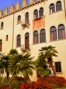 Flowers malcesine italy