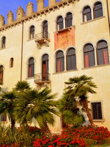 Flowers malcesine italy photo