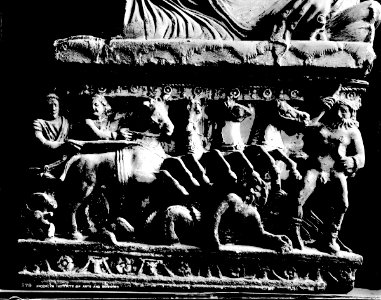 S03 06 01 001 image 638