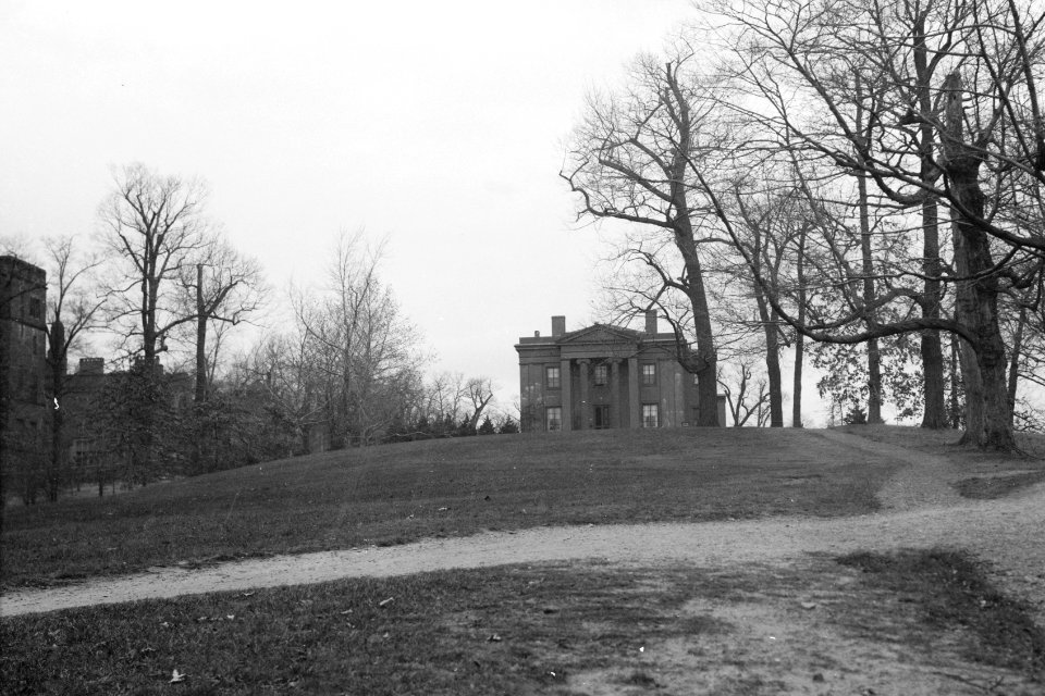 Sachem's Wood cropped