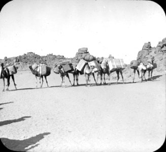 S10.08 Philae, image 9658