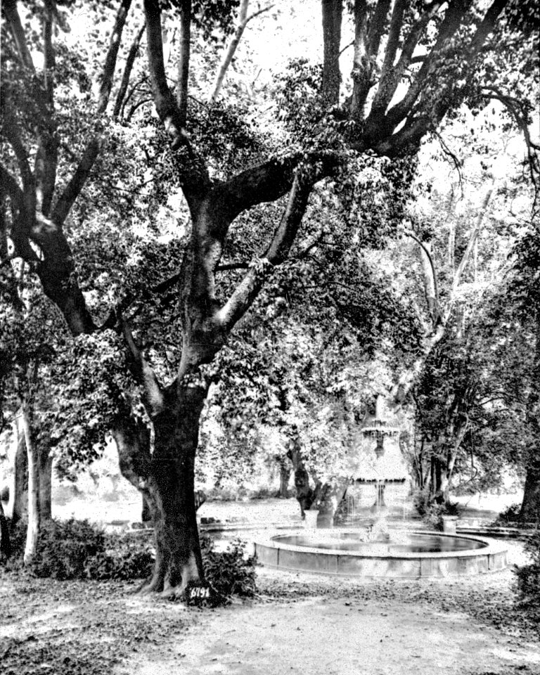 S03 06 01 023 image 2935