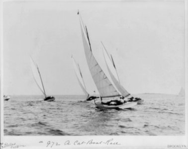 Sailboats sailing)- A cat-boat-race LCCN2003688319