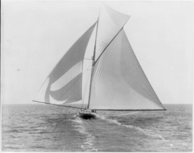 Sailboats sailing)- SHAMROCK LCCN2003688321