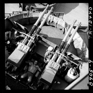 Sailor asleep between 40mm guns on board the USS New Jersey (BB-62). - NARA - 520873