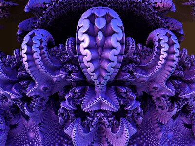 Nature sea sponge invertebrate