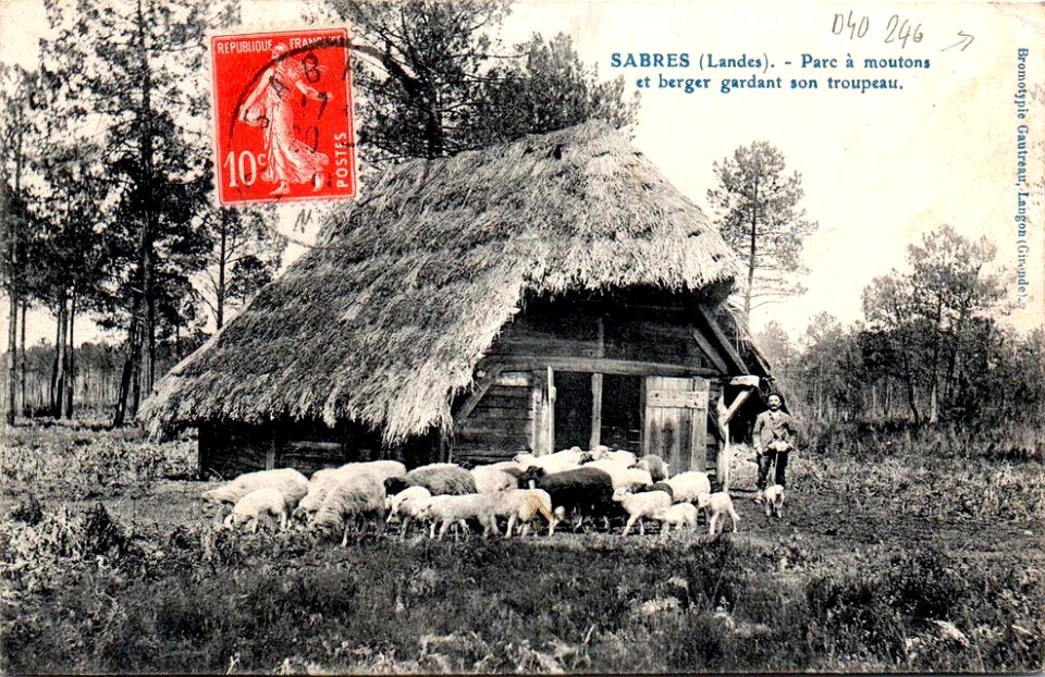 Sabres - Parc à moutons