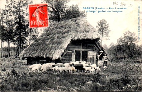 Sabres - Parc à moutons