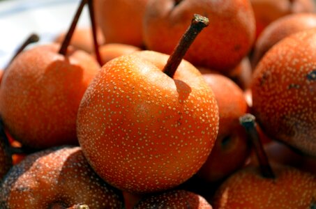 Nashi pears-apples fruit