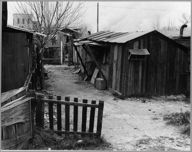 Sacramento, California. A typical dwelling in Louis' Camp - NARA - 521730