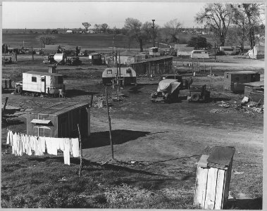 Sacramento, California. Fifty to sixty families pay $1 per month ground rent. No sanitary facilities . . . - NARA - 521790
