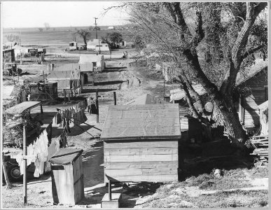 Sacramento, California. Fifty to sixty families pay $1 per month ground rent. No sanitary facilities . . . - NARA - 521792