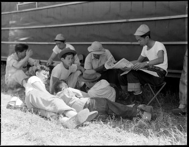Sacramento, California. Student evacuees of Japanese ancestry. Most of these boys have attended th . . . - NARA - 537780