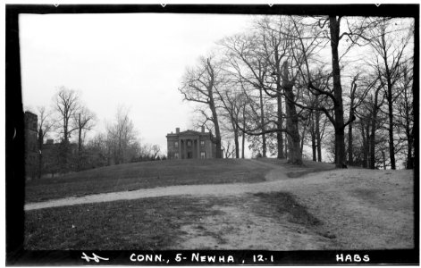 Sachem's Wood