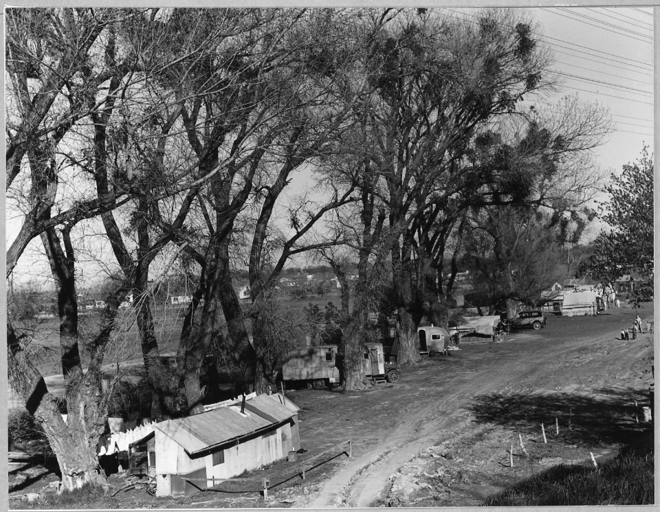 Sacramento, California. Fifty to sixty families pay $1 per month ground rent. No sanitary facilities . . . - NARA - 521793