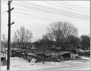 Sacramento, California. Louis' Camp just outside the city limits. 150 families pay ground rent ($3 p . . . - NARA - 521726