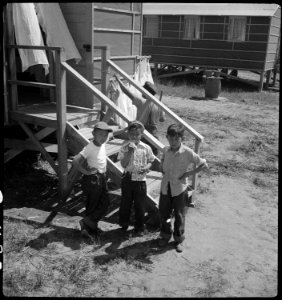 Sacramento, California. These young evacuees of Japanese ancestry are enjoying themselves at this A . . . - NARA - 537795