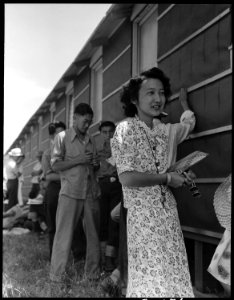 Sacramento, California. This young woman of Japanese ancestry received credentials from the San Jos . . . - NARA - 537790