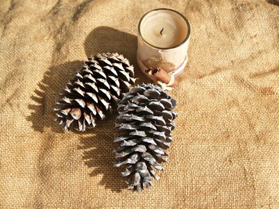 Rough prickly hessian