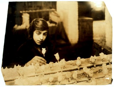 Sadie Singer, 15 years old, racking flowers at the Beston Floral Supply Co., 347-357 Cambridge Street. Said to be the only flower factory in Massachusetts. LOC nclc.05613
