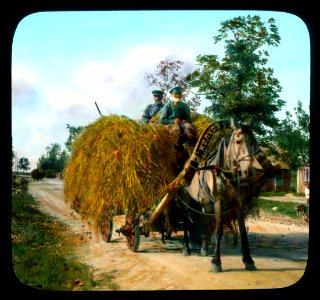Saint Petersburg farmers transporting hay, near Leningrad photo
