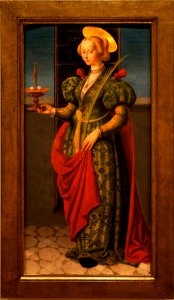 Saint Lucie Pseudo-Giovenone0609