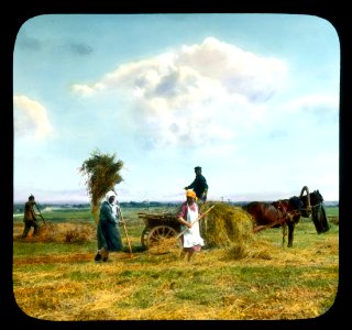 Saint Petersburg farmers harvesting hay, near Leningrad