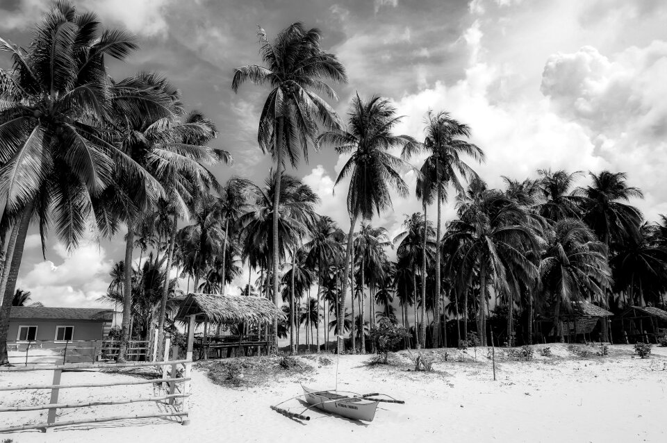 Black and white sky clouds