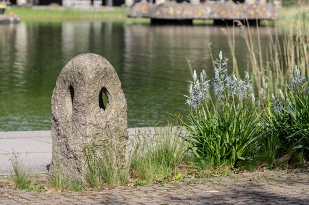 Rock lamp nature grass