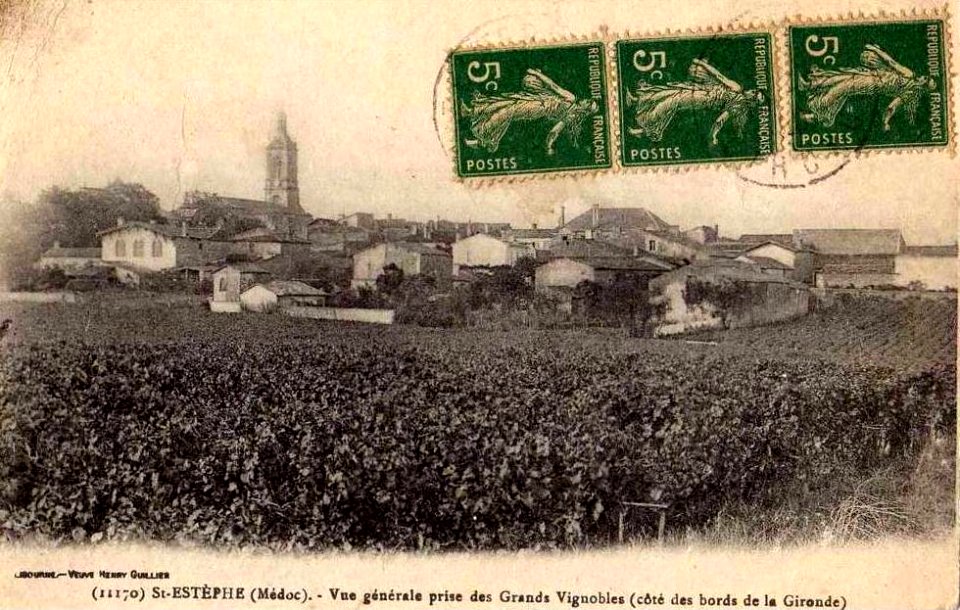 Saint-Estèphe - vue générale 1