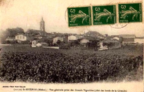 Saint-Estèphe - vue générale 1