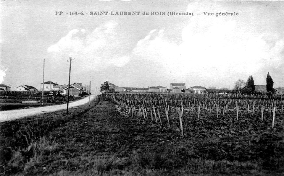 Saint-Laurent-du-Bois - vue générale 1