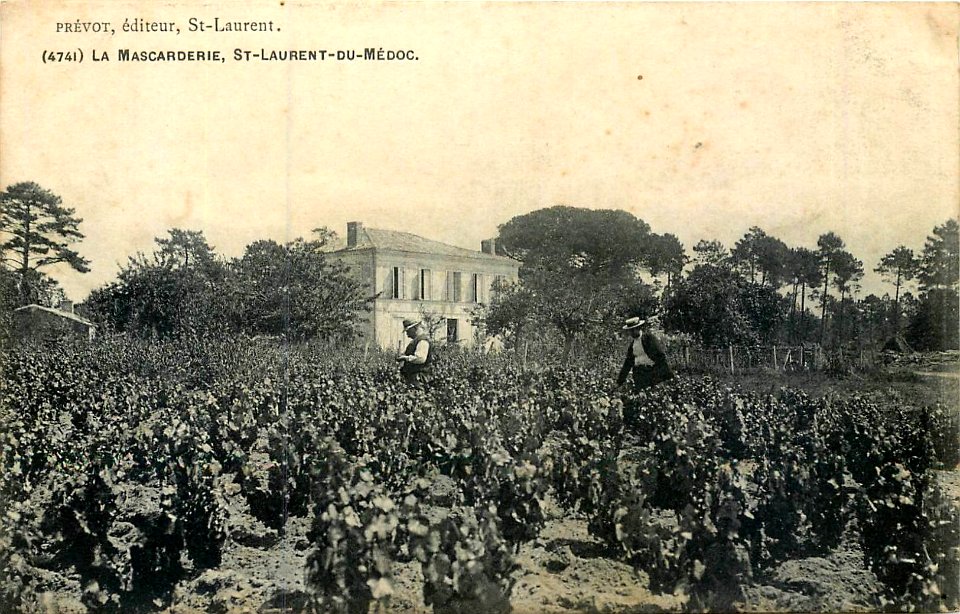 Saint-Laurent-Médoc - La Mascarderie 1