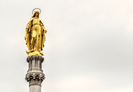Gold gold leaf image